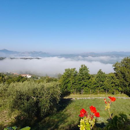 Casa Annella Bed & Breakfast Melizzano ภายนอก รูปภาพ